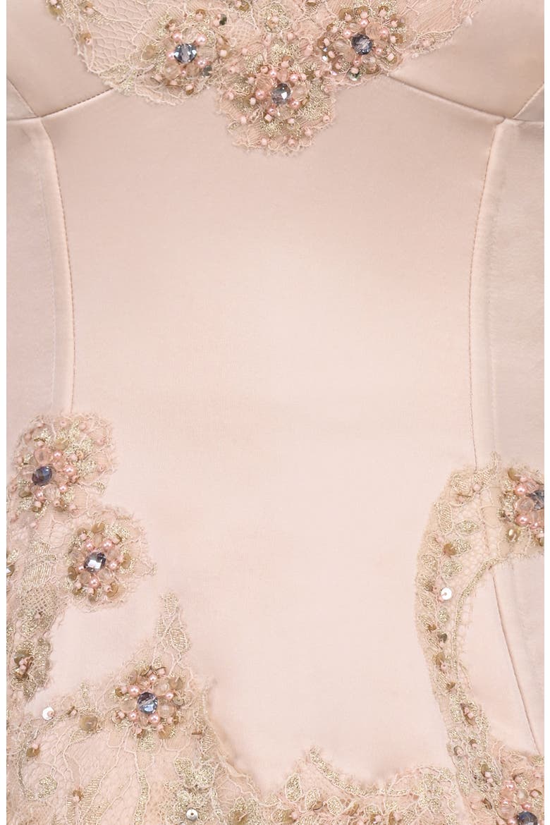 Saloma Embellished Satin Corset Top, Alternate, color, BLUSH