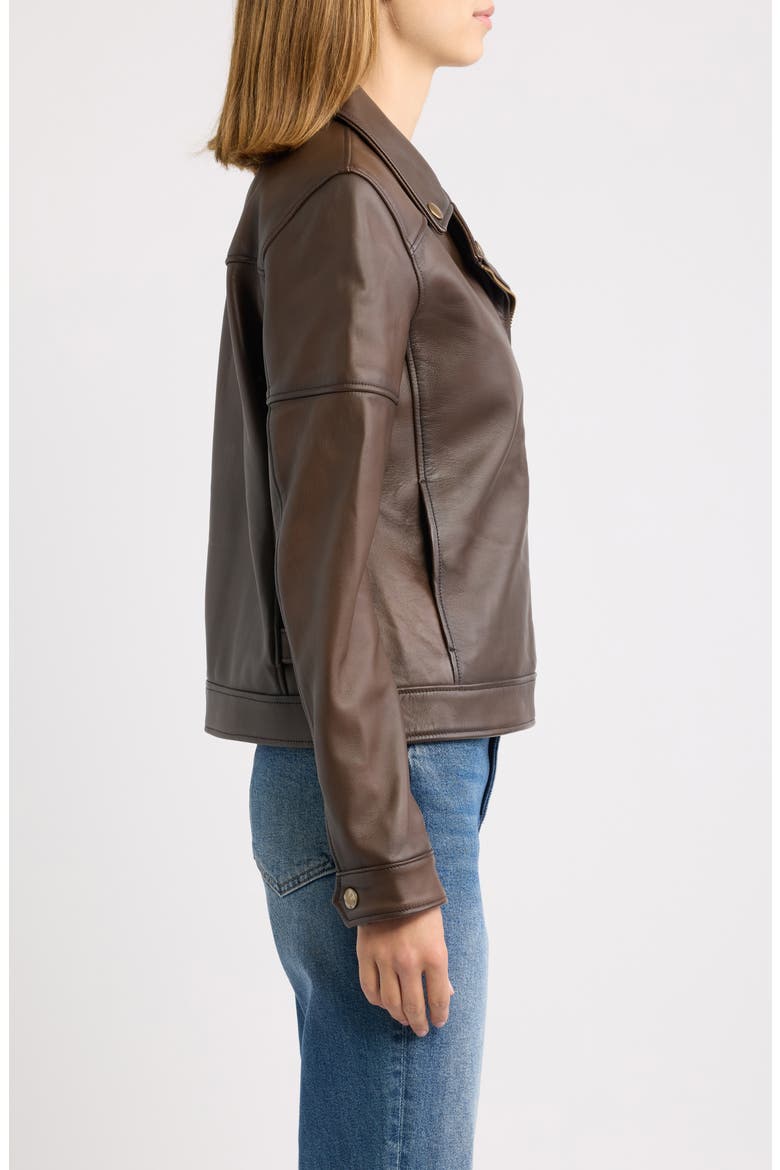 Lamb Leather Jacket, Alternate, color, MOKA TOBACCO