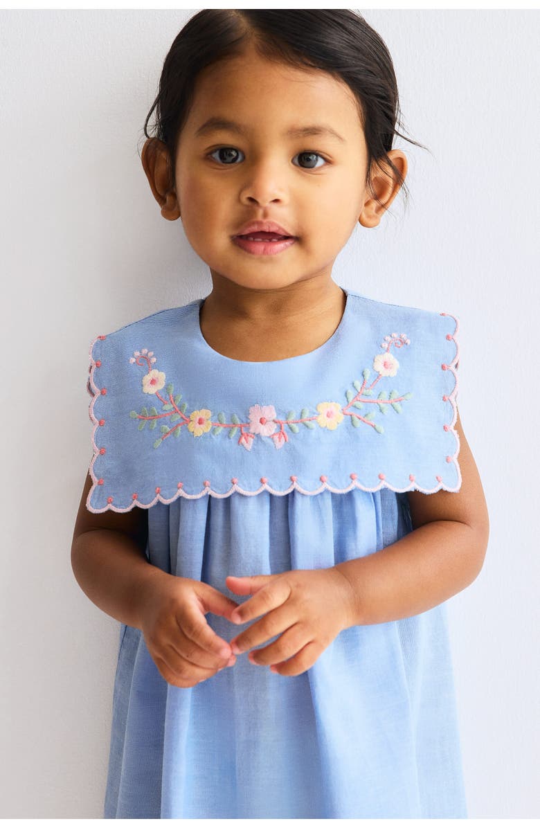 H&M Embroidered Cotton Dress, Alternate, color, Denim Blue/Flowers