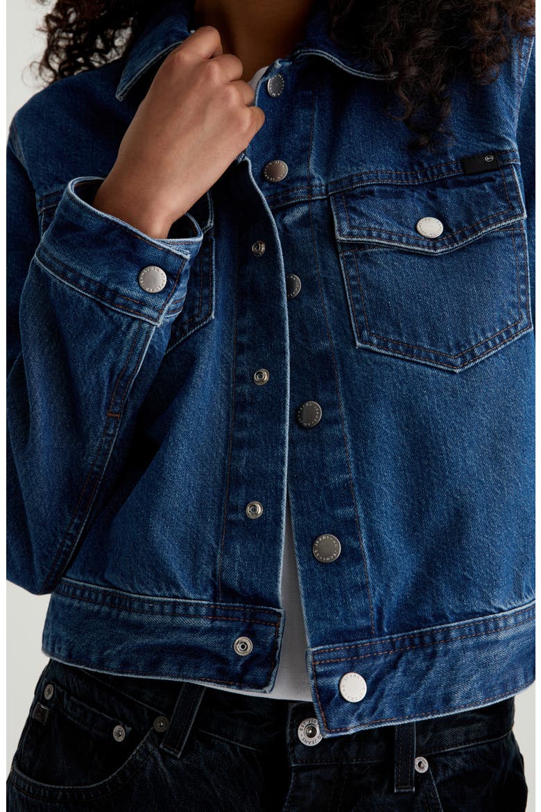 Molly Denim Trucker Jacket, Alternate, color, DENALI
