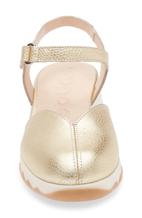 Wonders Samara Platform Wedge Pump In Max Platino