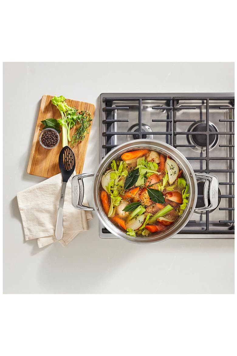 Simply Strain 16-Quart Stainless Steel Multipot with Insert, Alternate, color, SILVER
