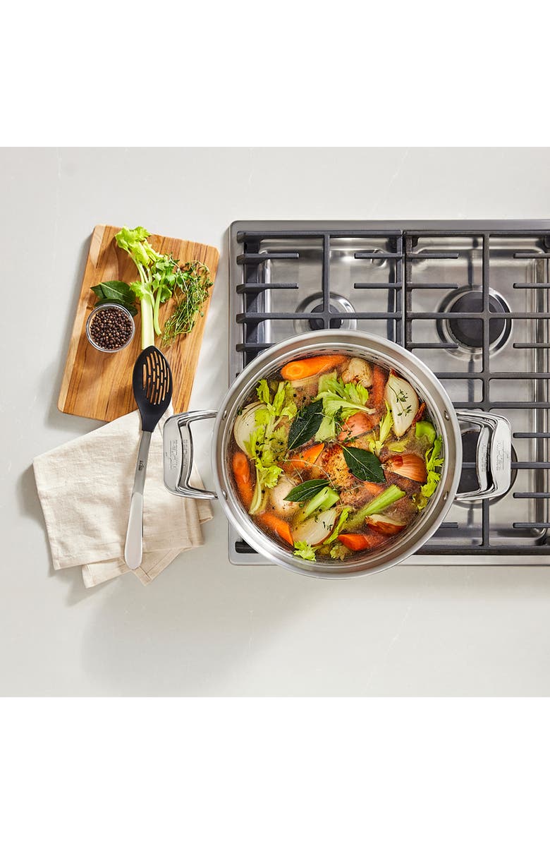 All-Clad Simply Strain 16-Quart Stainless Steel Multipot with Insert, Alternate, color, Silver