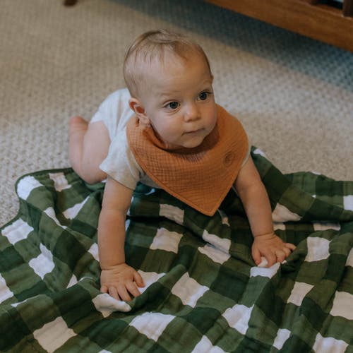 Parker Baby Co. Muslin Bandana Bibs In Estes