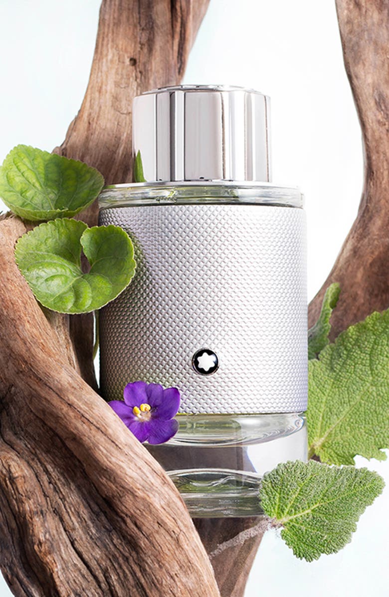 Montblanc Explorer Platinum Eau de Parfum, Alternate, color,