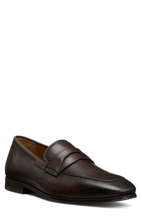 Stuart Weitzman Dustin Loafer In Brown