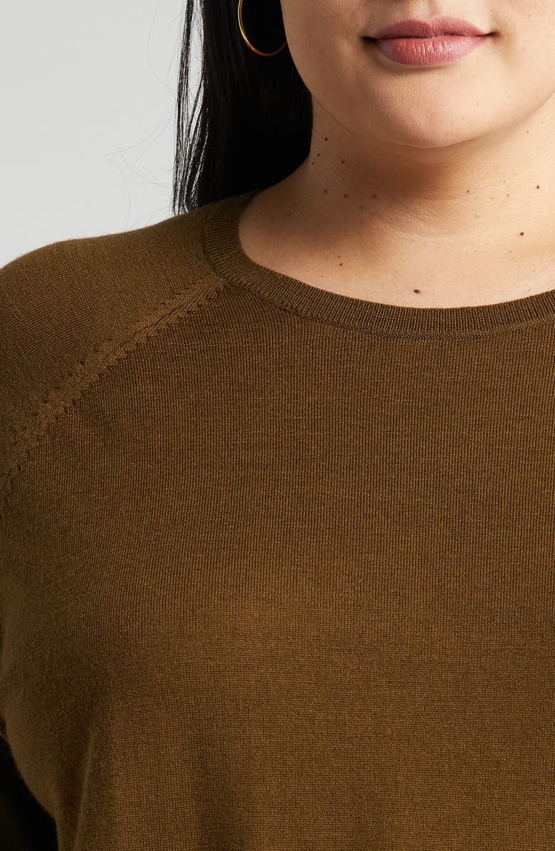 Eileen Fisher Raglan Sleeve Merino Wool Jersey Sweater, Alternate, color, 