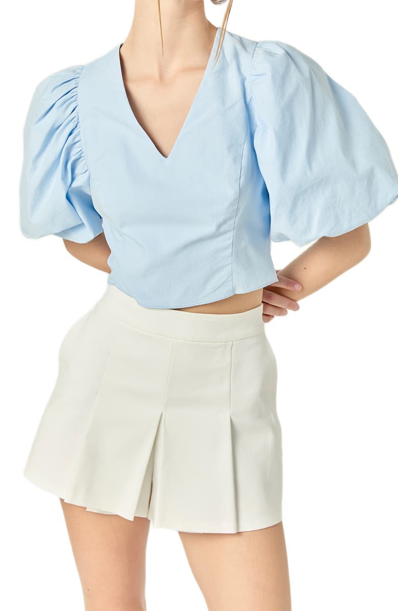 Endless Rose V-Neck Crop Top, Main, color, Powder Blue