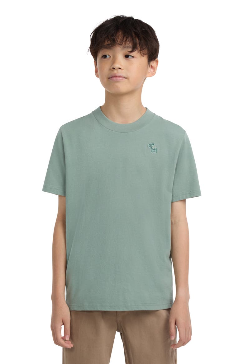 Kids' Essential Cotton Blend T-Shirt, Alternate, color, F9RCHINOIS