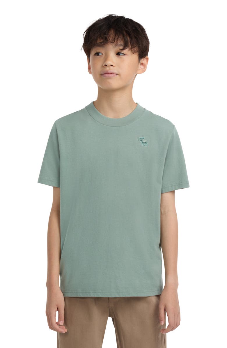 abercrombie kids Kids' Essential Cotton Blend T-Shirt, Alternate, color, F9rchinois
