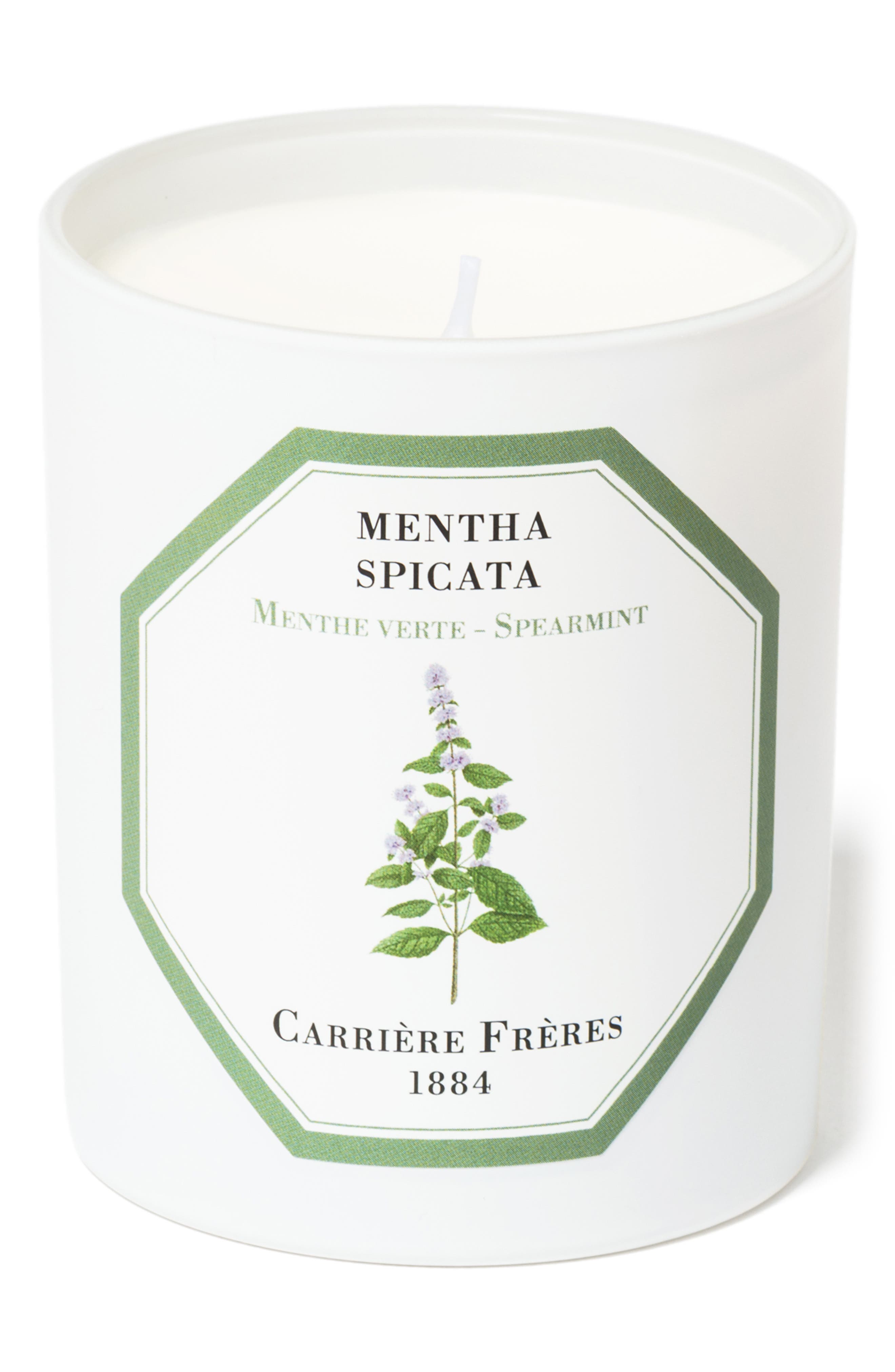SPEARMINT