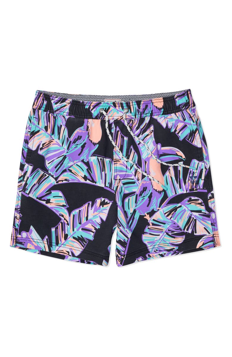 Party Pants Captain Toucan Swim Trunks, Alternate, color, Black