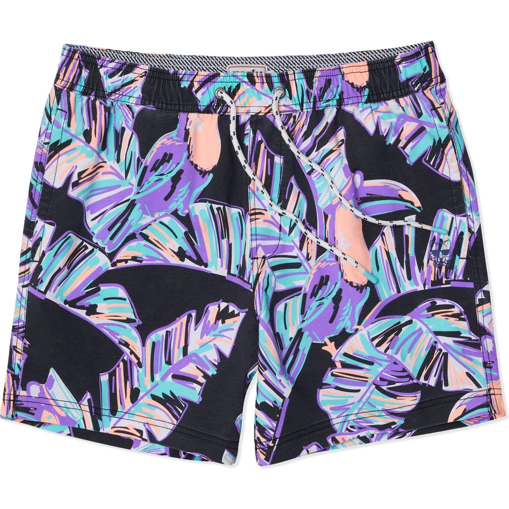 Party Pants Captain Toucan Swim Trunks In Black