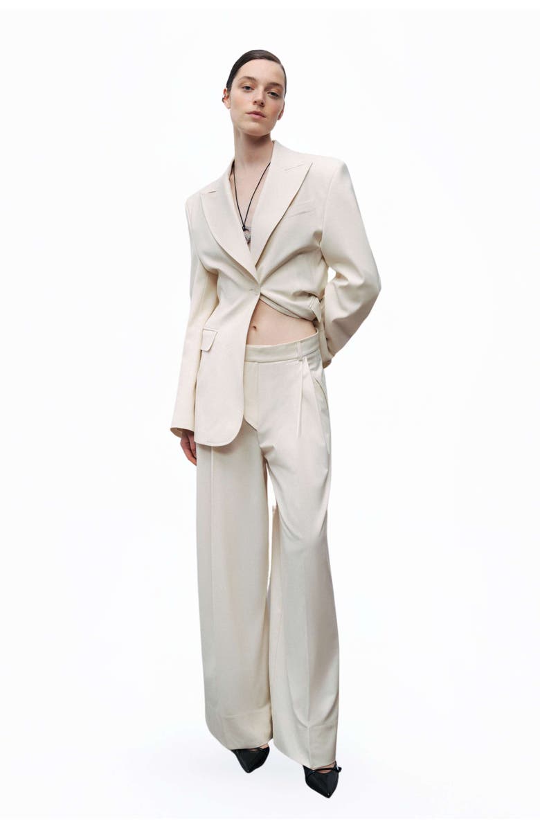 Nocturne Asymmetric Placket Detail Pants, Alternate, color, 