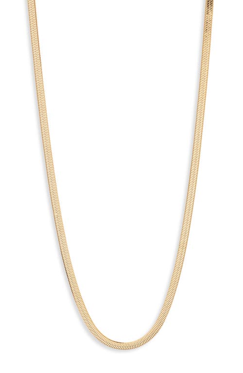 Jenny Bird Zeina Chain Necklace in High Polish Gold 