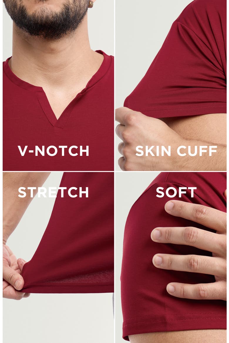 Split Neck T-Shirt, Alternate, color, BURGUNDY