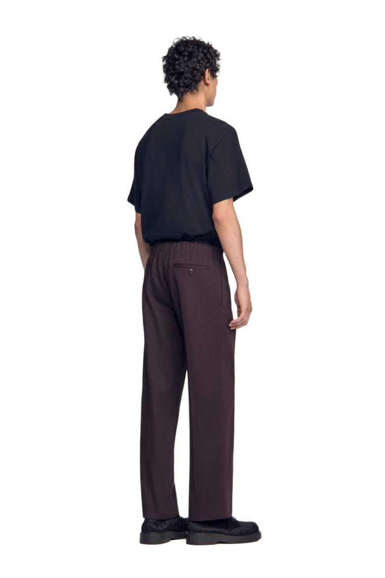 Wide-leg elastic waist trousers, Alternate, color, Chocolate