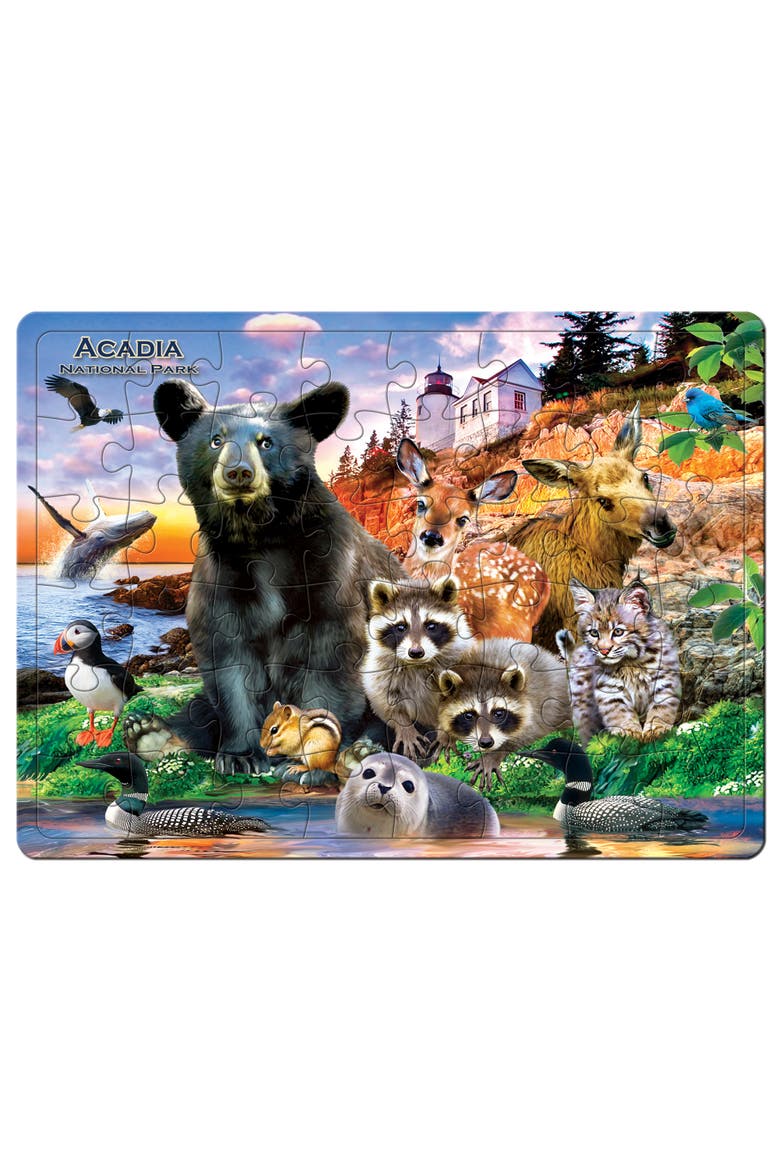 Acadia National Park 48pc Tray Puzzle, Alternate, color, Multicolor