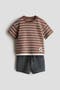  Brown/Dark Gray
