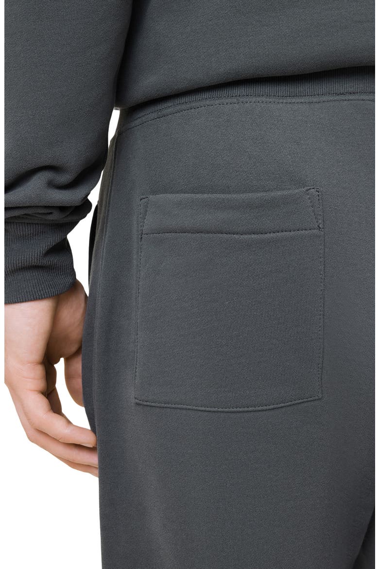Raven Cotton Sweatpants, Alternate, color, CARTER GREY