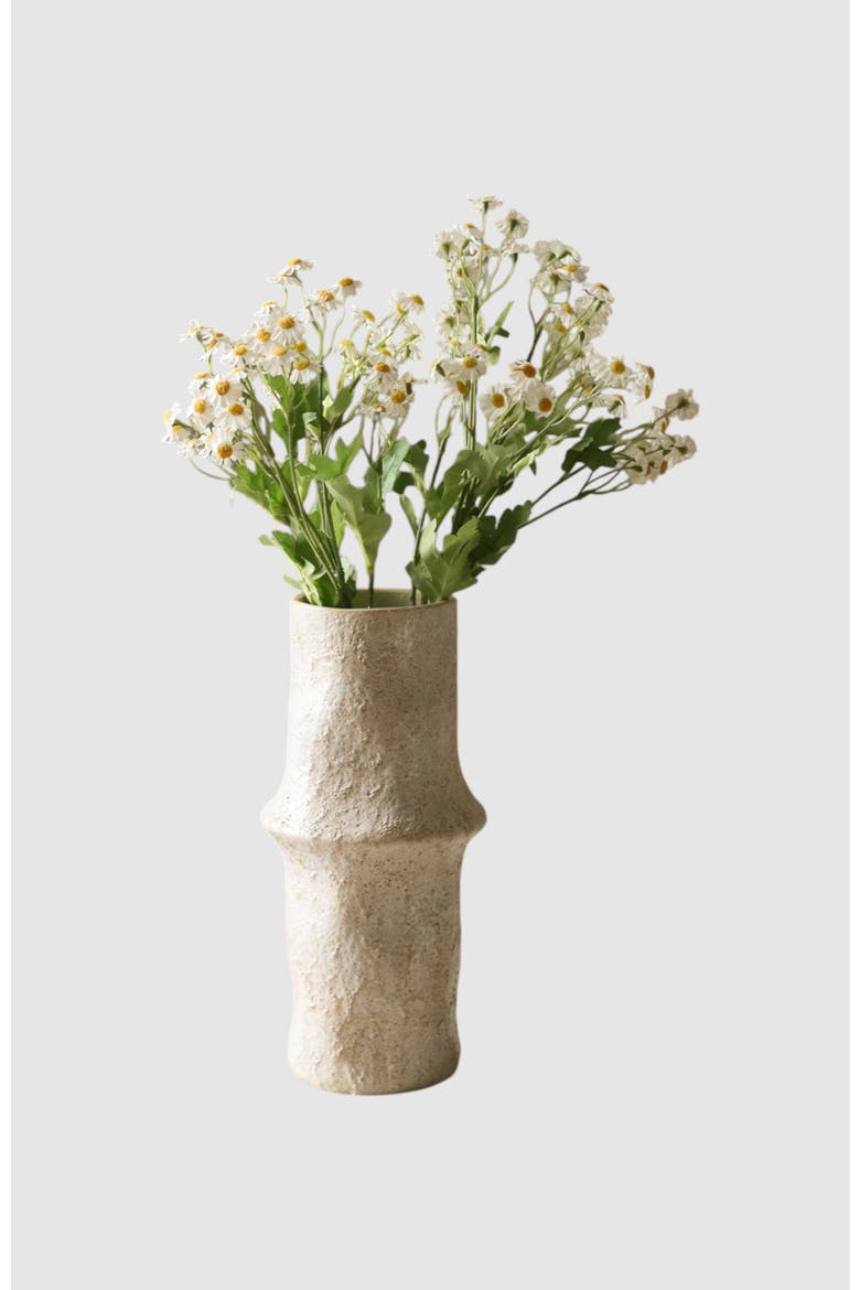 White Small Daisy Flowers, Alternate, color, White
