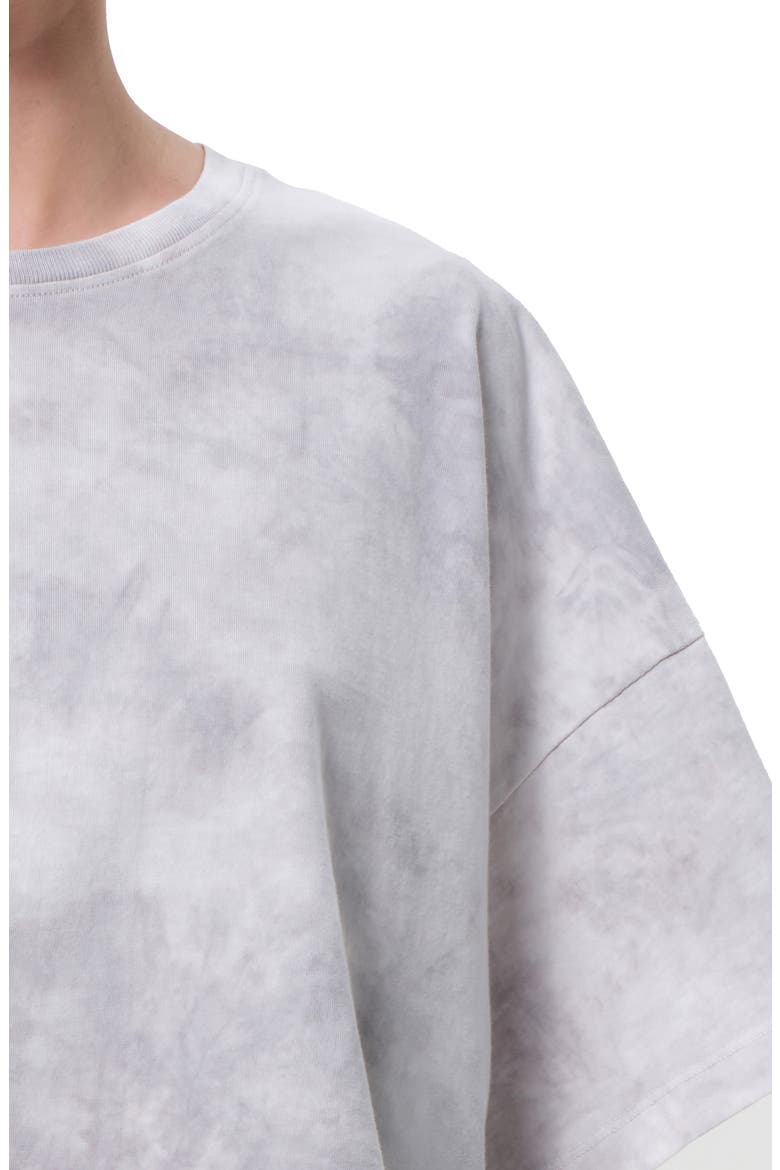 Arli Oversize Cotton Crop T-Shirt, Alternate, color, TURBINE