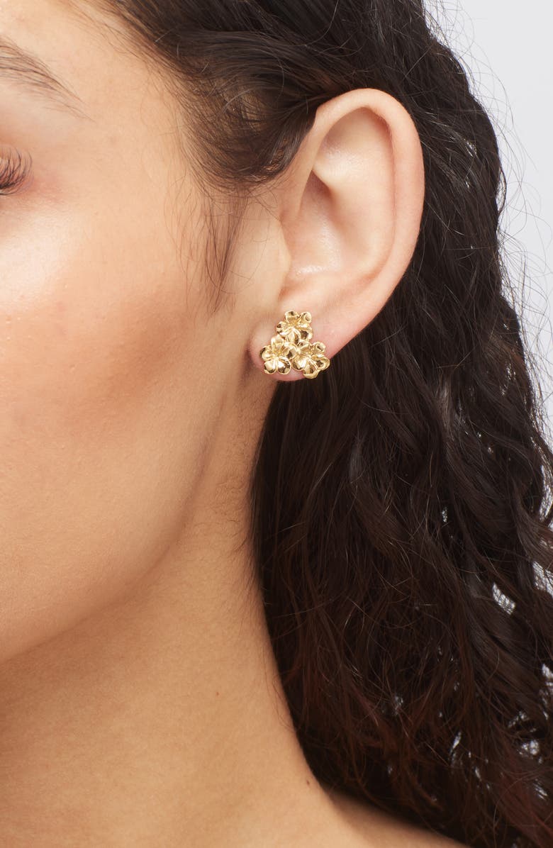 Kiara by Ki-Ele Melia Trio Flower Bunch Stud Earrings, Alternate, color, Gold