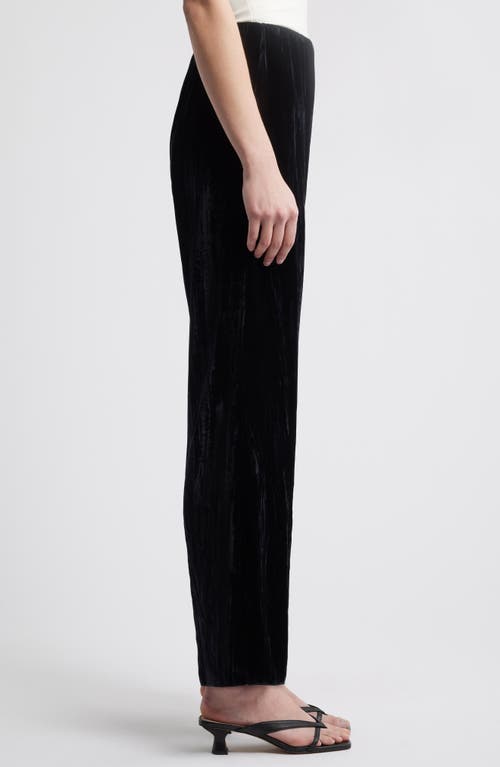 Rails Brissa Velvet Flare Pants In Black Velvet