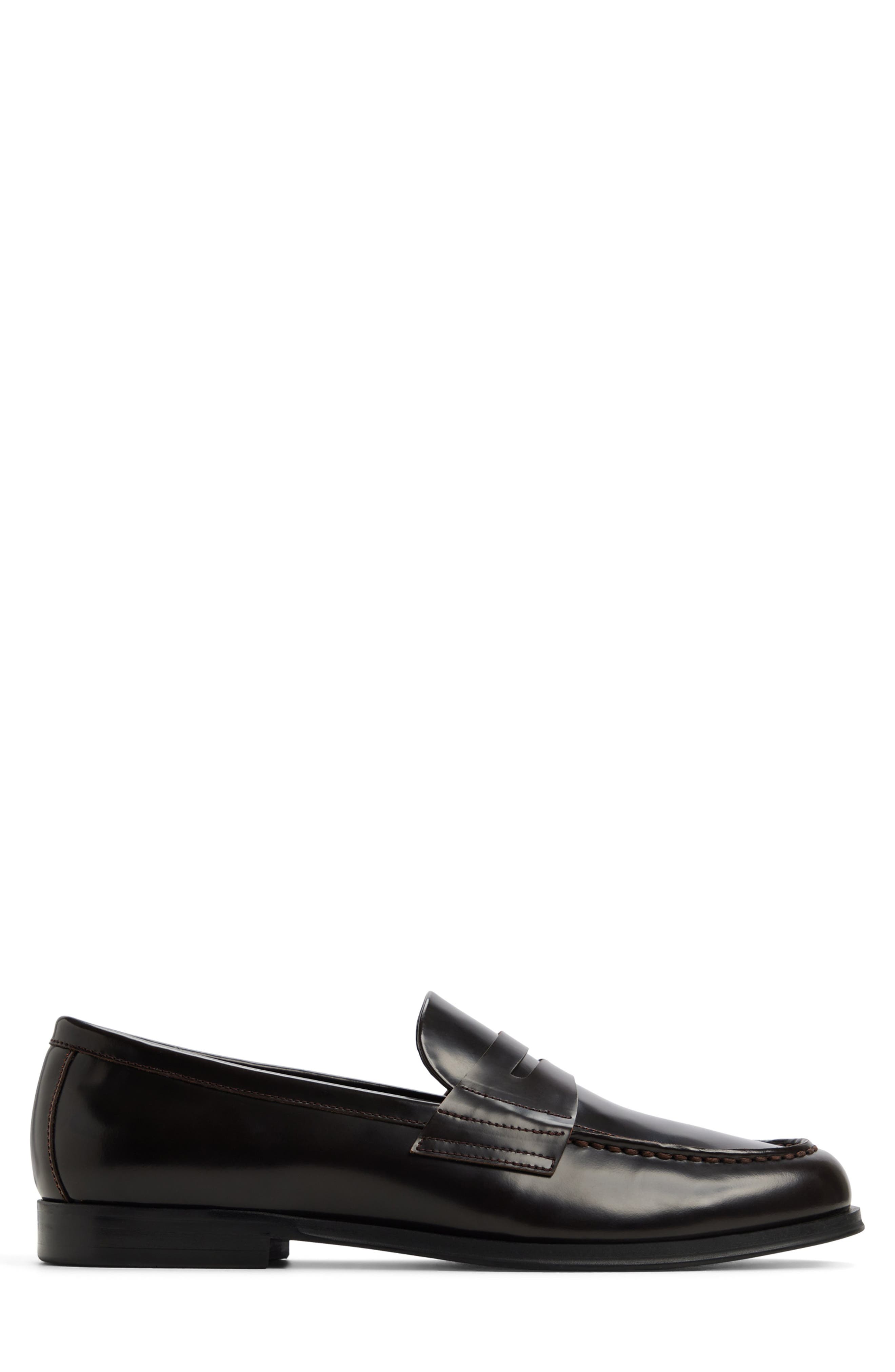 ALDO Keifer Penny Loafer, Alternate, color, Dark Brown