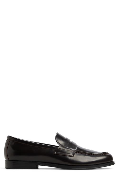 Aldo Keifer Penny Loafer In Black