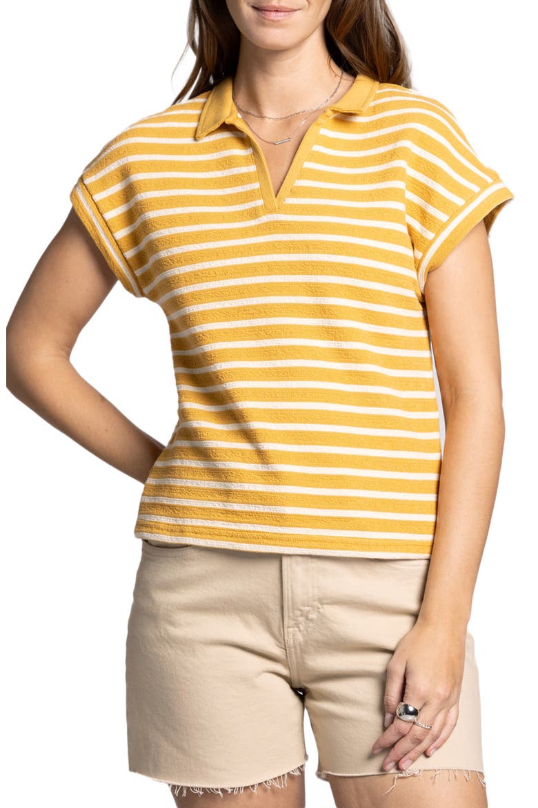 Jenna Knit Polo, Main, color, YELLOW WHITE