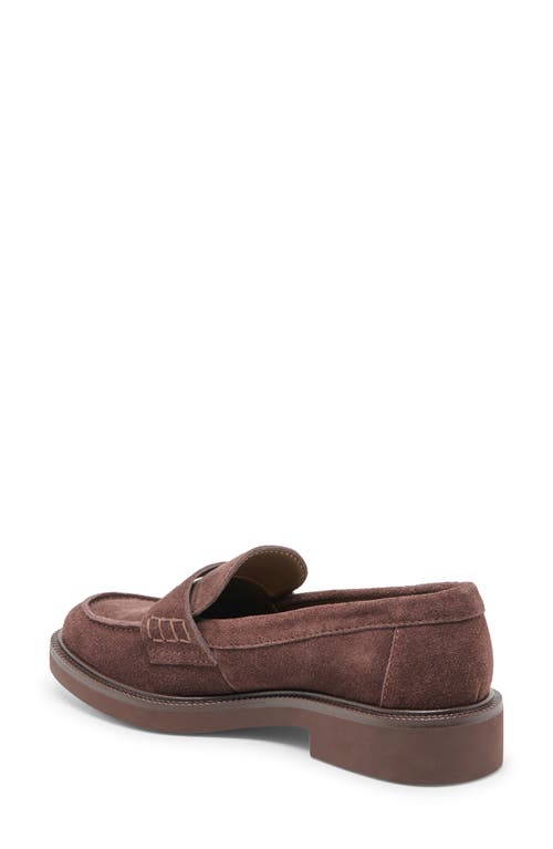 Dolce Vita Tiggy Loafers Mahogany Suede In Brown