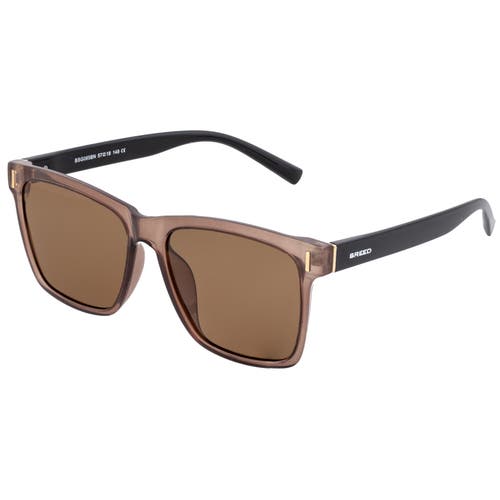 BREED Pictor Polarized Sunglasses in Brown/black 