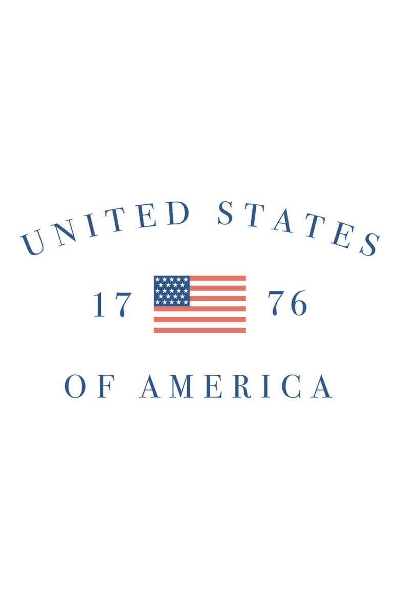 Men's Lost Gods United States of America 1776  Graphic T-Shirt, Alternate, color, White