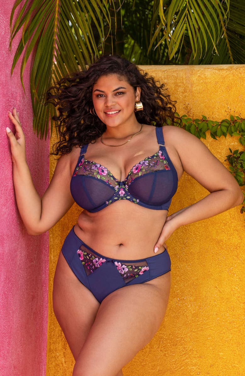 Elomi Himari Embroidered High Cut Briefs, Alternate, color,