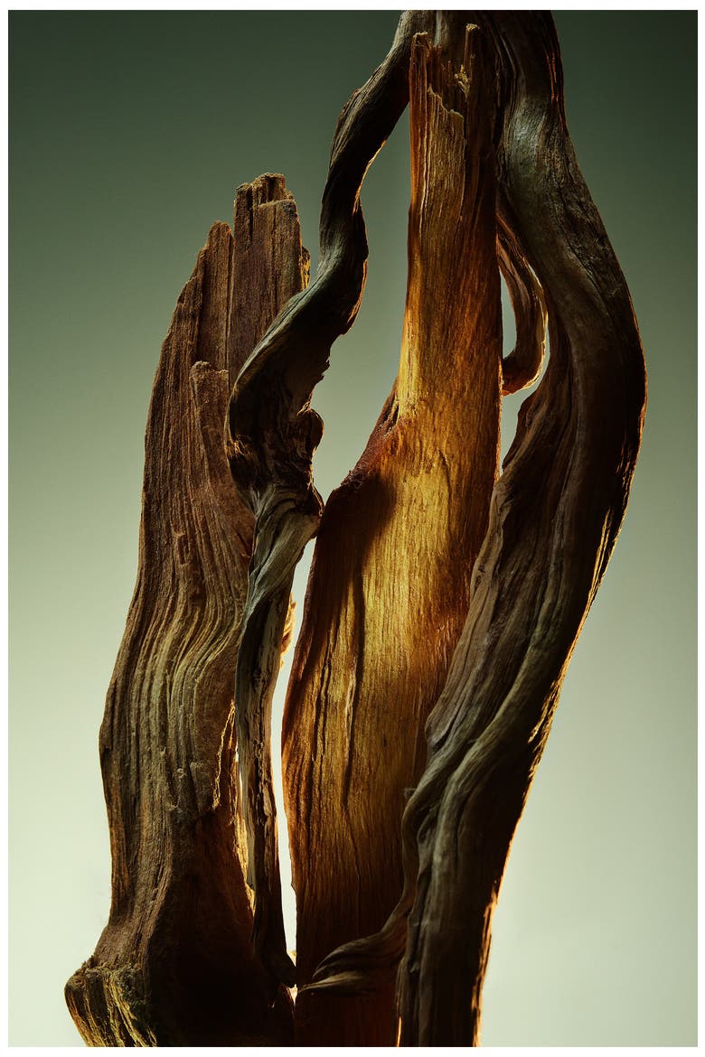 Man Wood Essence Parfum, Alternate, color, NO COLOR