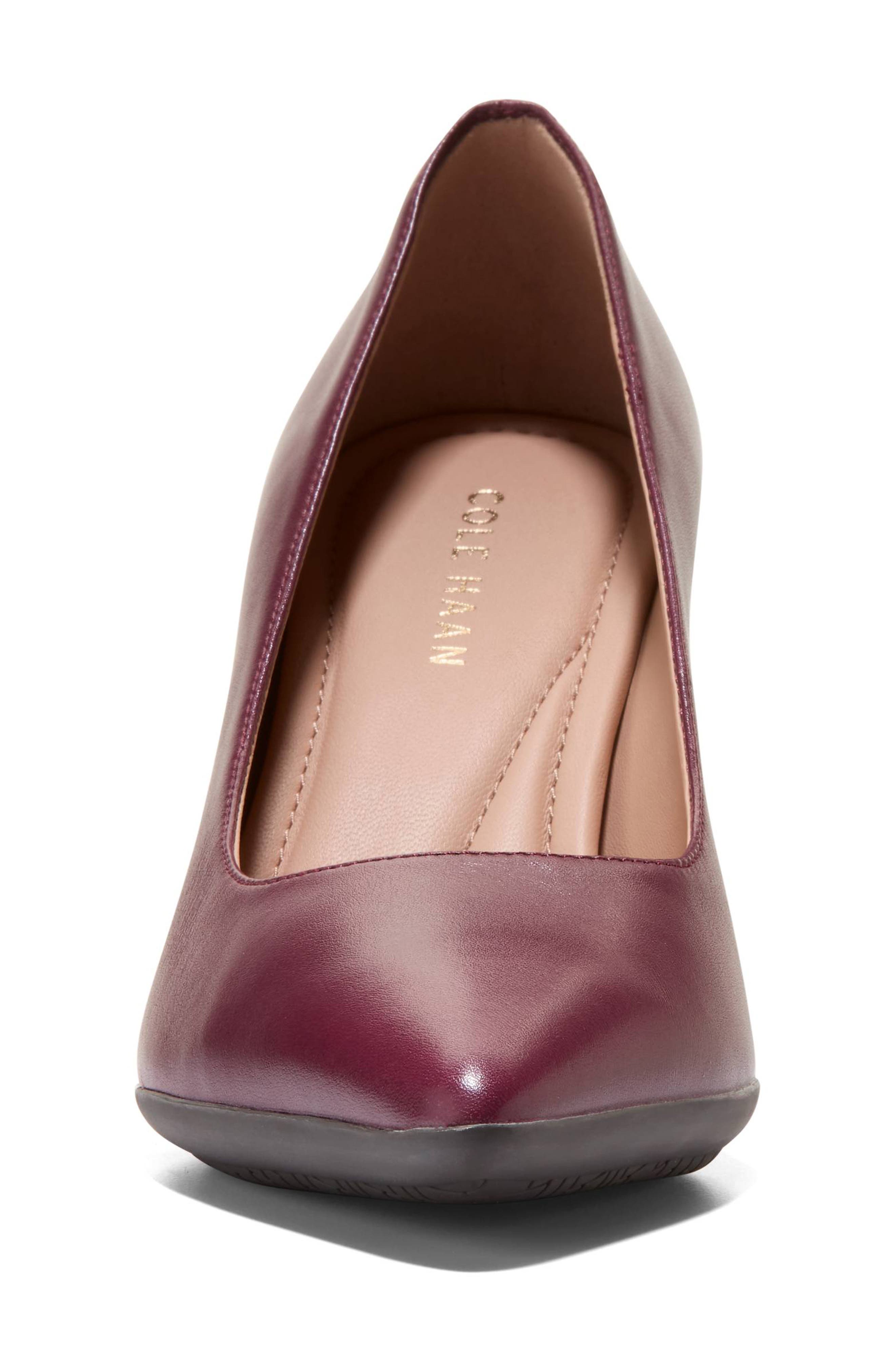 Grand Ambition Angelica Pointed Toe Pump, Alternate, color, BLACK GARNET LEATHER