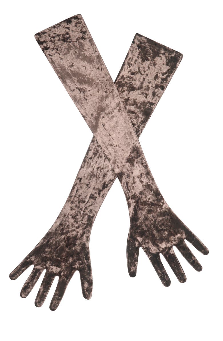 Miss Circle Tess Velvet Opera-Length Gloves, Main, color, Coffee