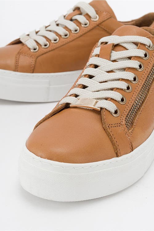 Forever & Always Shoes Beryl Leather Zip Sneaker In Cognac Brown Leather