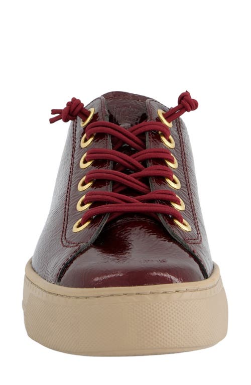 Paul Green Hadley Platform Sneaker In Burgundy
