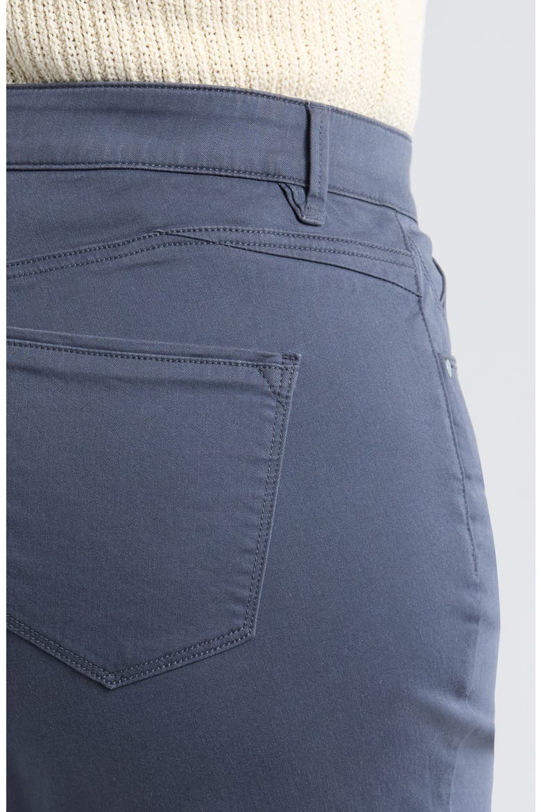 High Waist Ankle Straight Leg Pants, Alternate, color, SHADOW