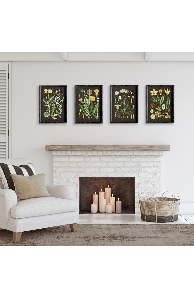 Napa Home & Garden Golden Botanical Study Set of 4, Alternate, color, Black
