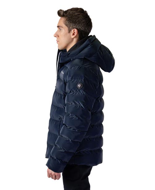 Woodpecker Sparrow Medium Weight Coat In Blue