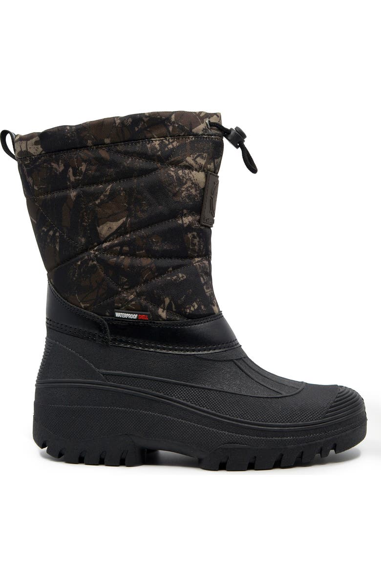 POLAR RANGE Dryden Waterproof Snow Boot, Alternate, color, Brown