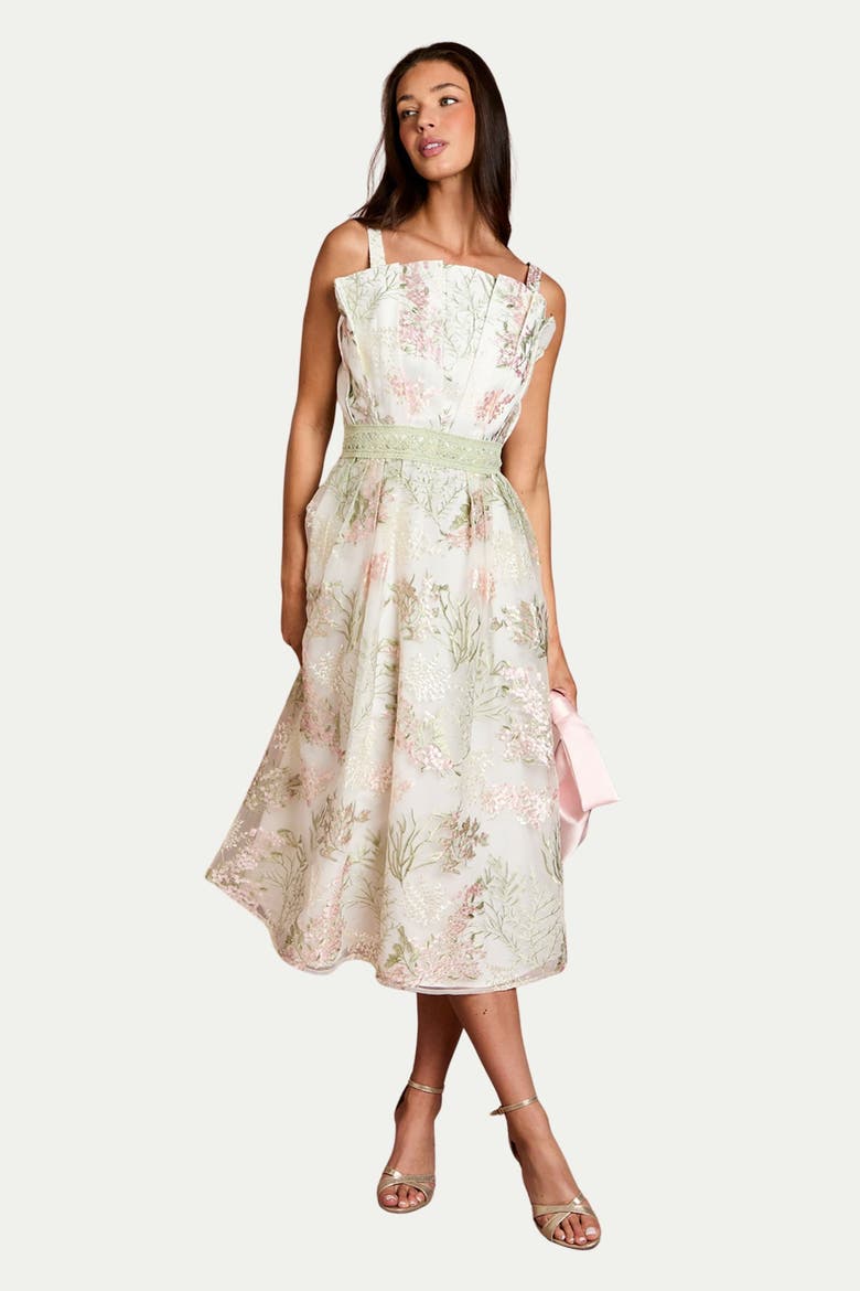 Fan Bodice Embroidered Mesh Midi Dress, Main, color, Ivory