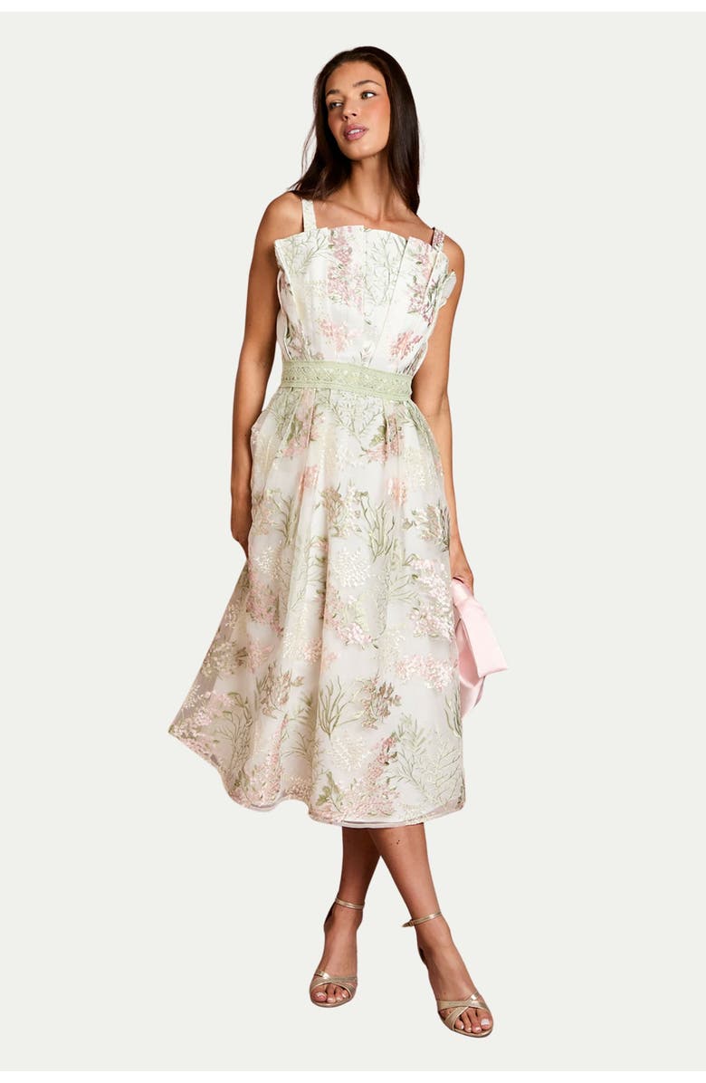 Coast Fan Bodice Embroidered Mesh Midi Dress, Main, color, Ivory