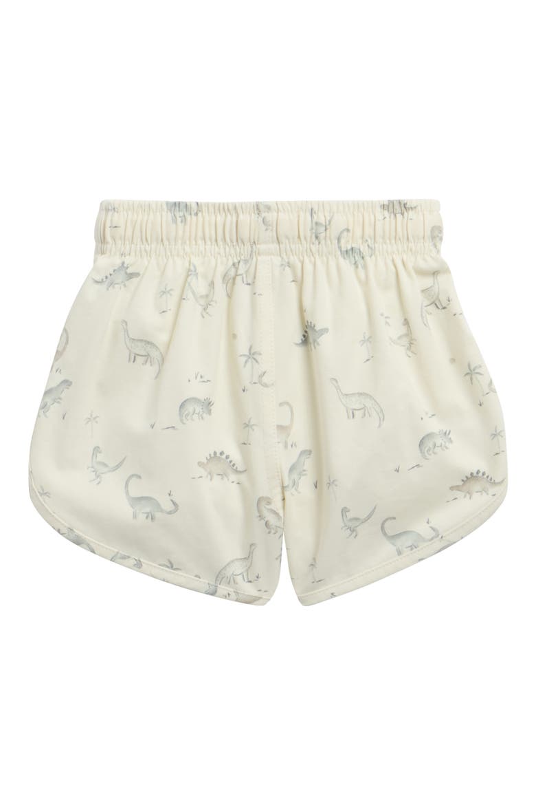 Kids' Dinosaur Swim Shorts, Alternate, color, IVORY