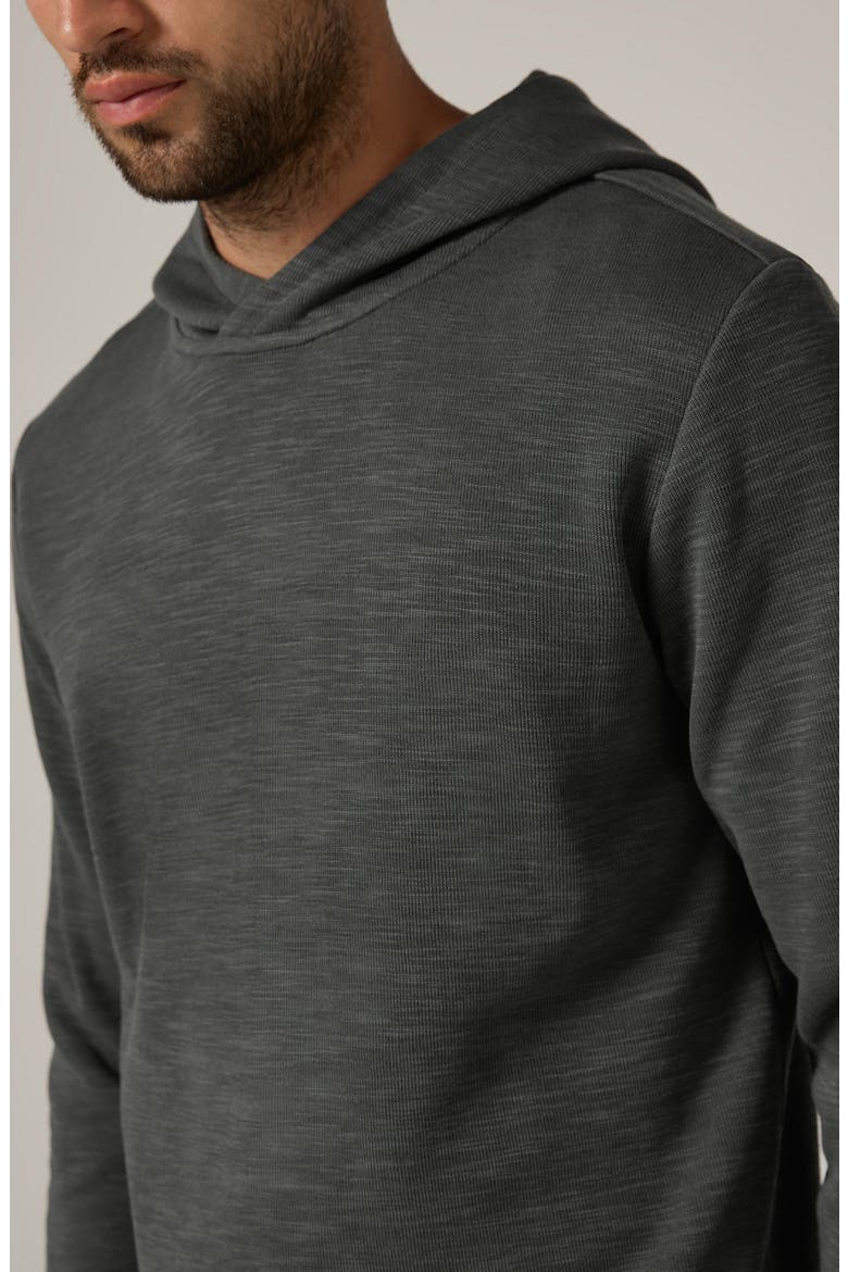 Shoreline Cotton Blend Hoodie, Alternate, color, BASIL