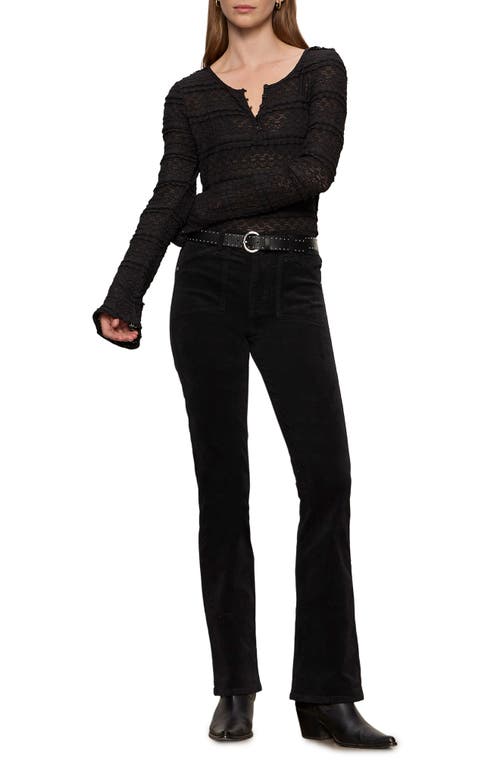 Sanctuary High Waist Bootcut Velveteen Pants In Black