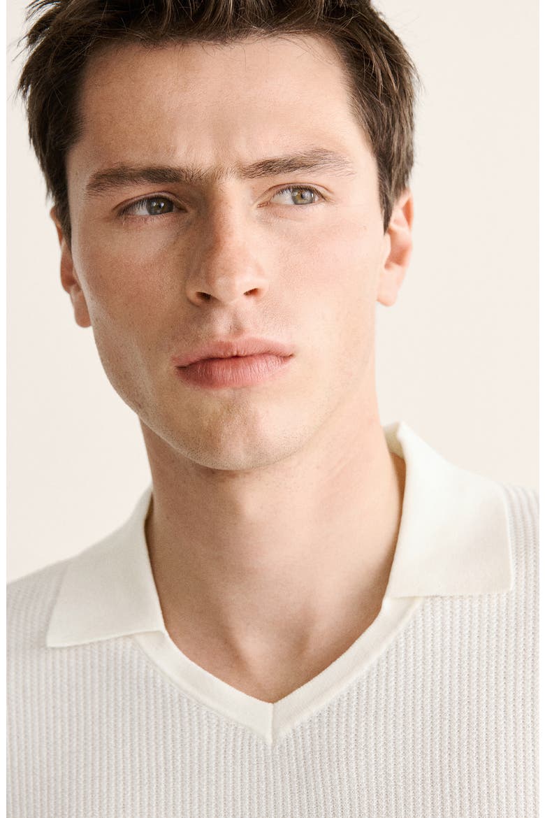 Johnny Collar Cotton & Silk Polo, Alternate, color, OFF WHITE
